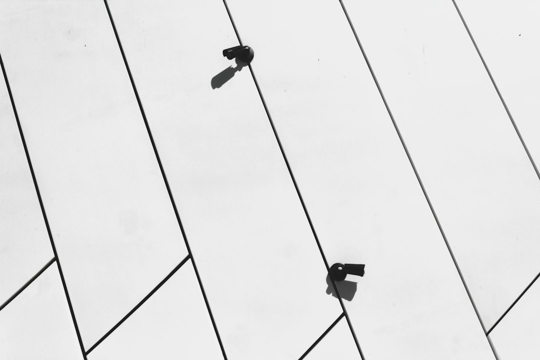 Exterior security cameras